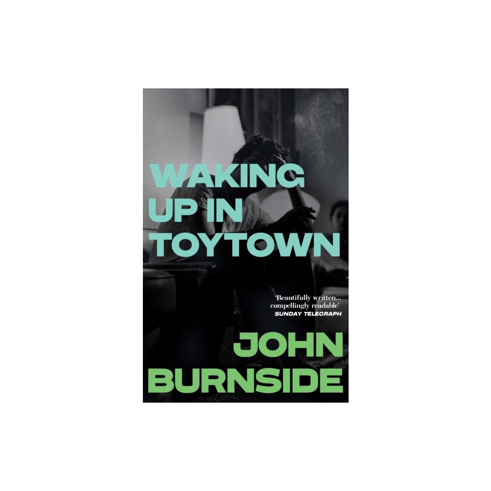 Vintage Publishing Waking Up in Toytown (häftad, eng)