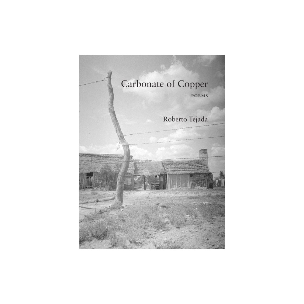 Fordham university press Carbonate of Copper (häftad, eng)