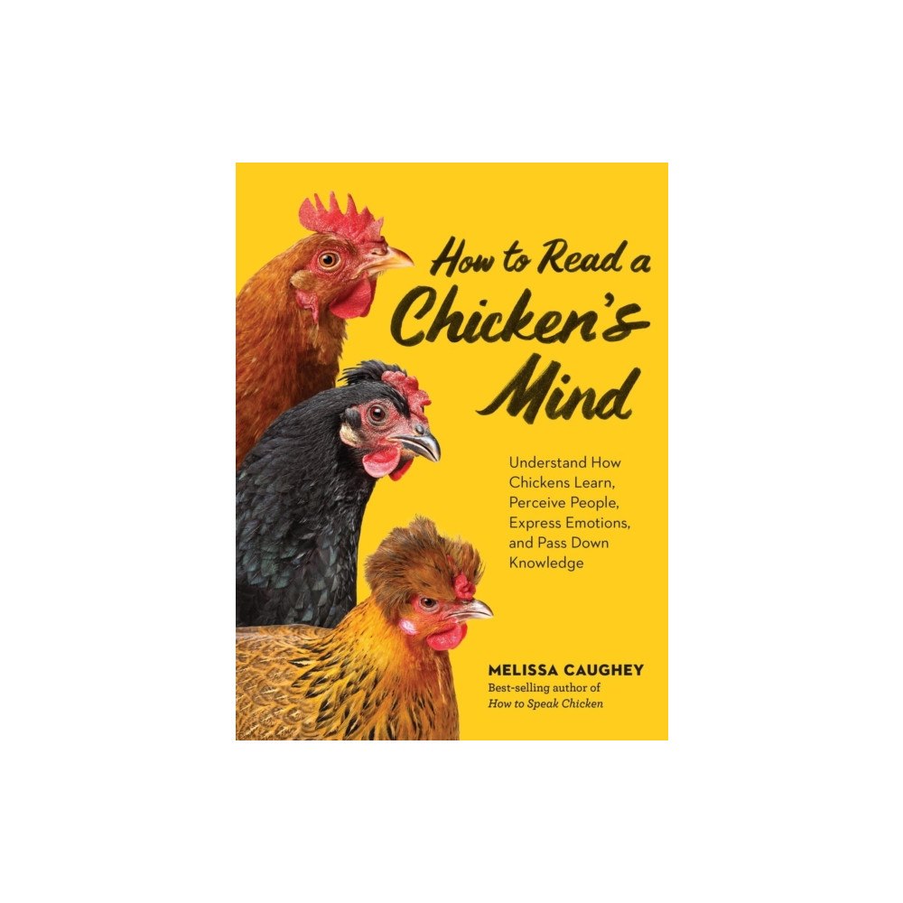 Workman Publishing How to Read a Chicken's Mind (häftad, eng)