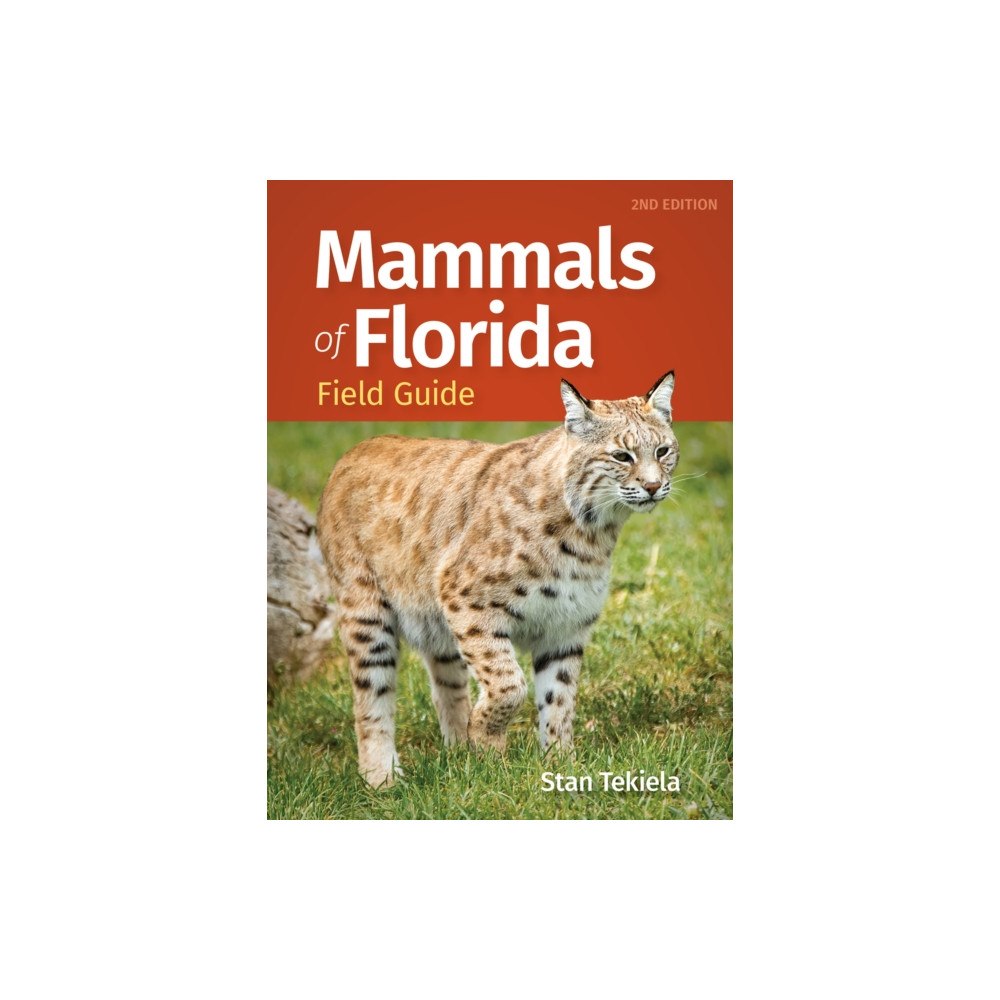 Adventure Publications, Incorporated Mammals of Florida Field Guide (häftad, eng)