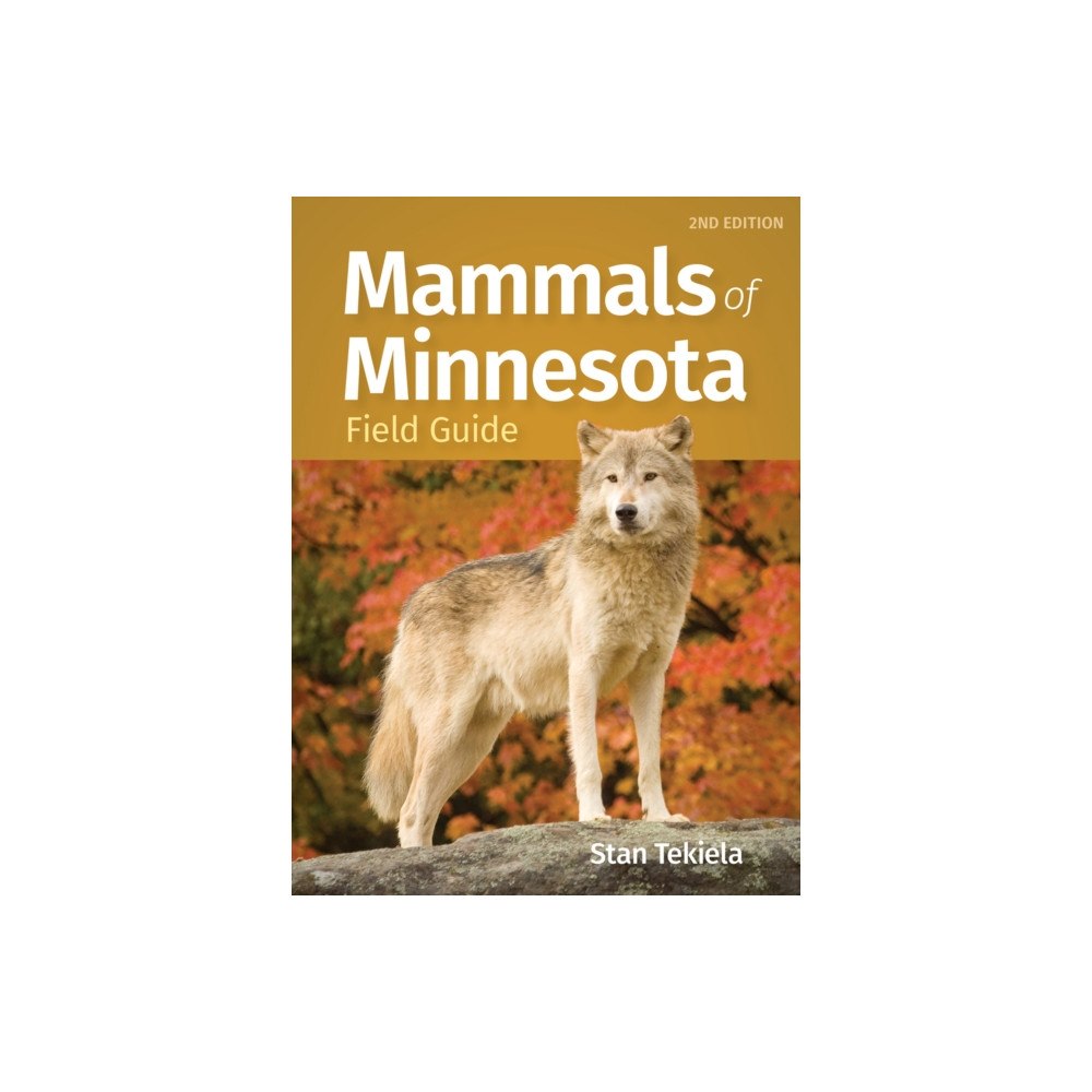 Adventure Publications, Incorporated Mammals of Minnesota Field Guide (häftad, eng)