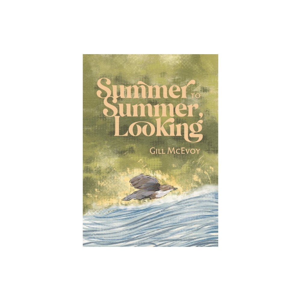 Cinnamon Press Summer to Summer, Looking (häftad, eng)