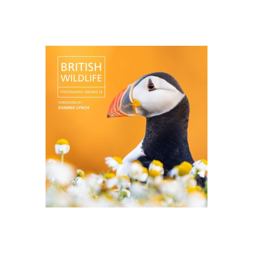 Graffeg Limited British Wildlife Photography Awards 13 (inbunden, eng)
