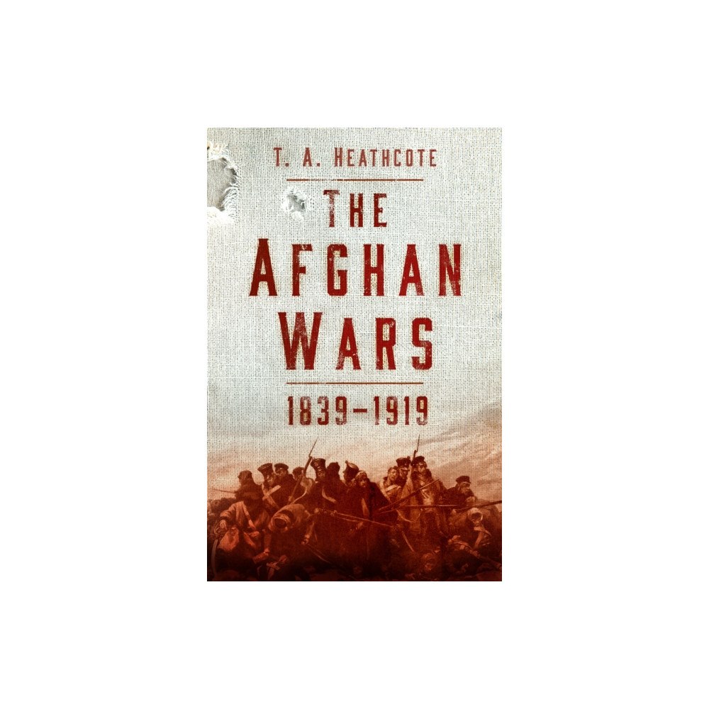 The History Press Ltd The Afghan Wars 1839-1919 (häftad, eng)