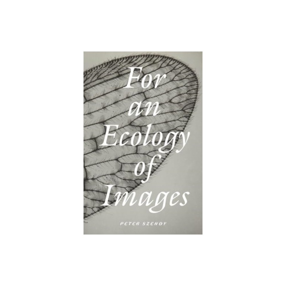 Verso Books For an Ecology of Images (häftad, eng)