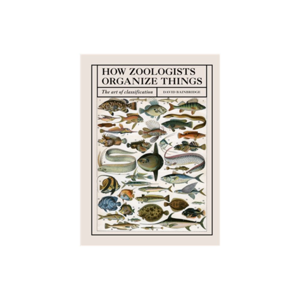Quarto Publishing Plc How Zoologists Organize Things (häftad, eng)