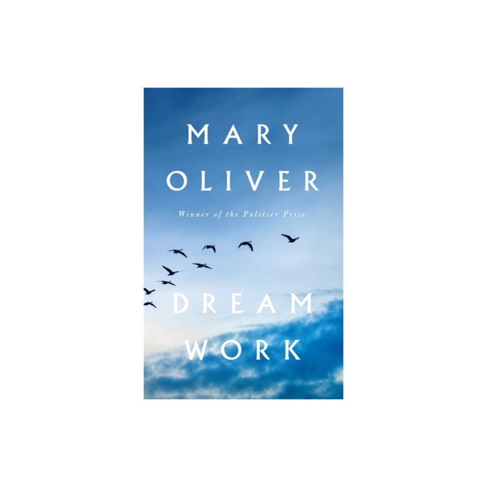 Atlantic Books Dream Work (inbunden, eng)