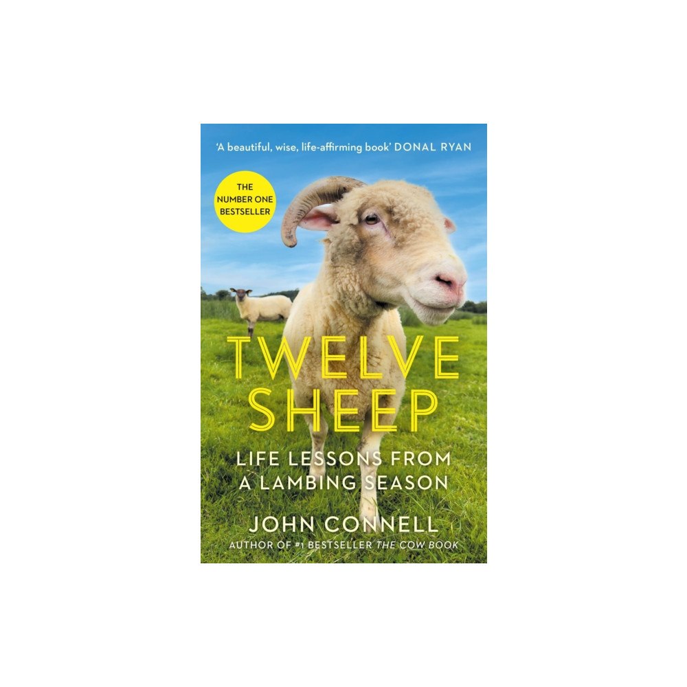 Atlantic Books Twelve Sheep (häftad, eng)