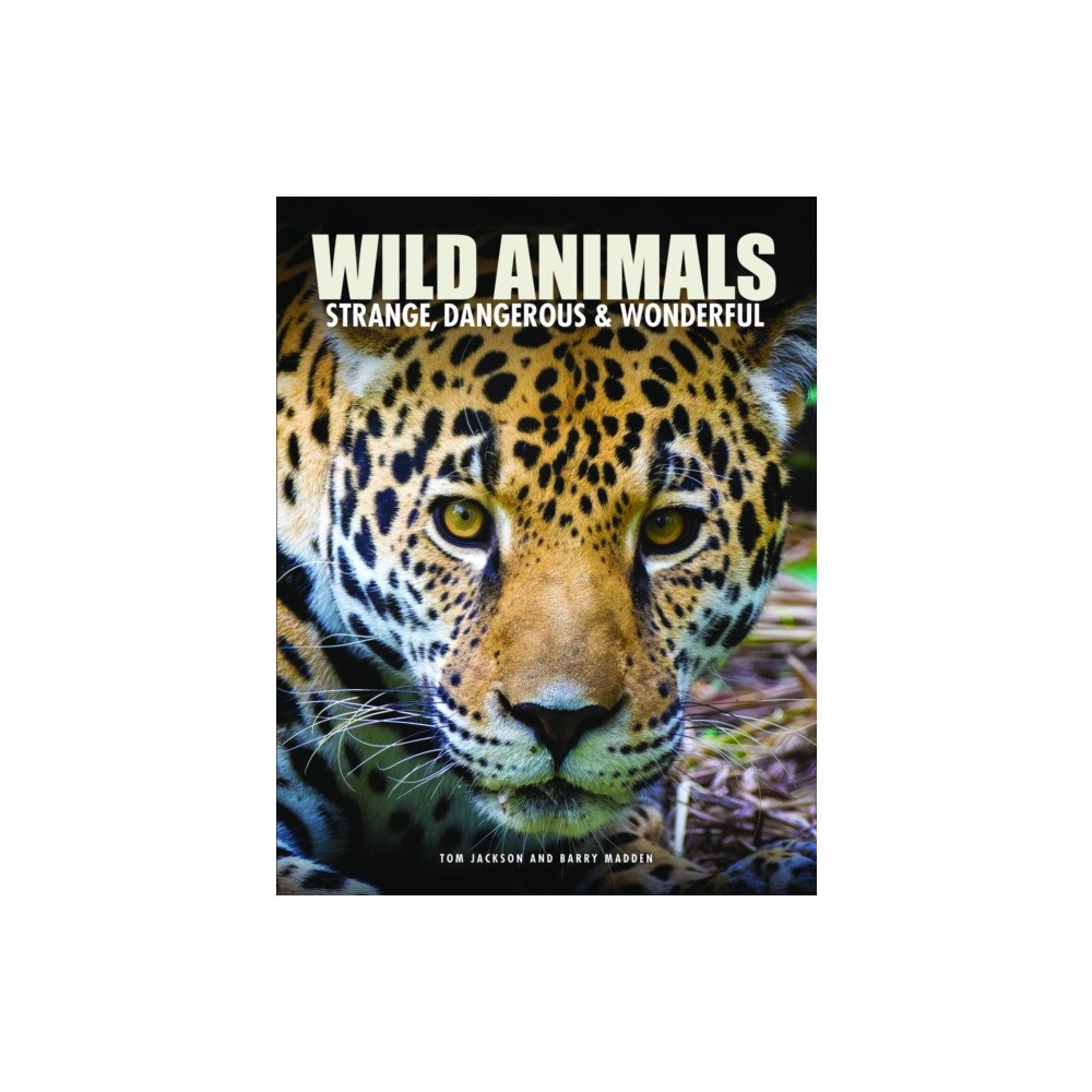 Amber Books Ltd Wild Animals (inbunden, eng)