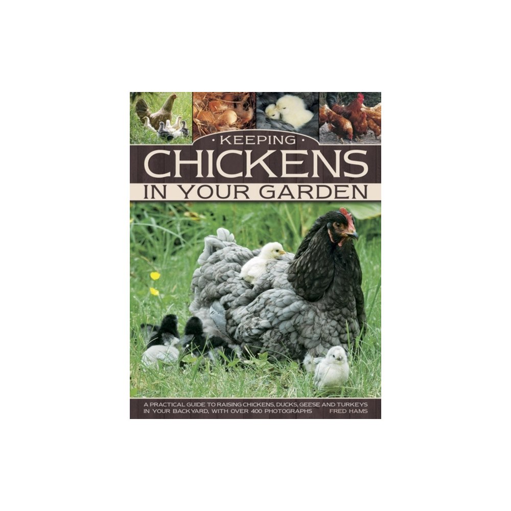 Anness publishing Keeping Chickens in Your Garden (häftad, eng)
