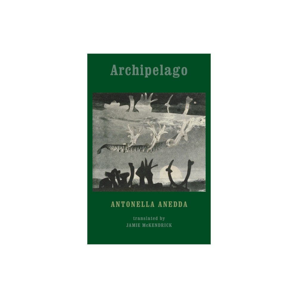 Bloodaxe Books Ltd Archipelago (häftad, eng)