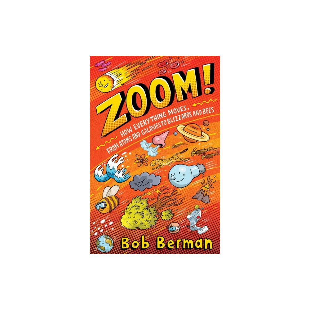 Oneworld Publications Zoom (häftad, eng)