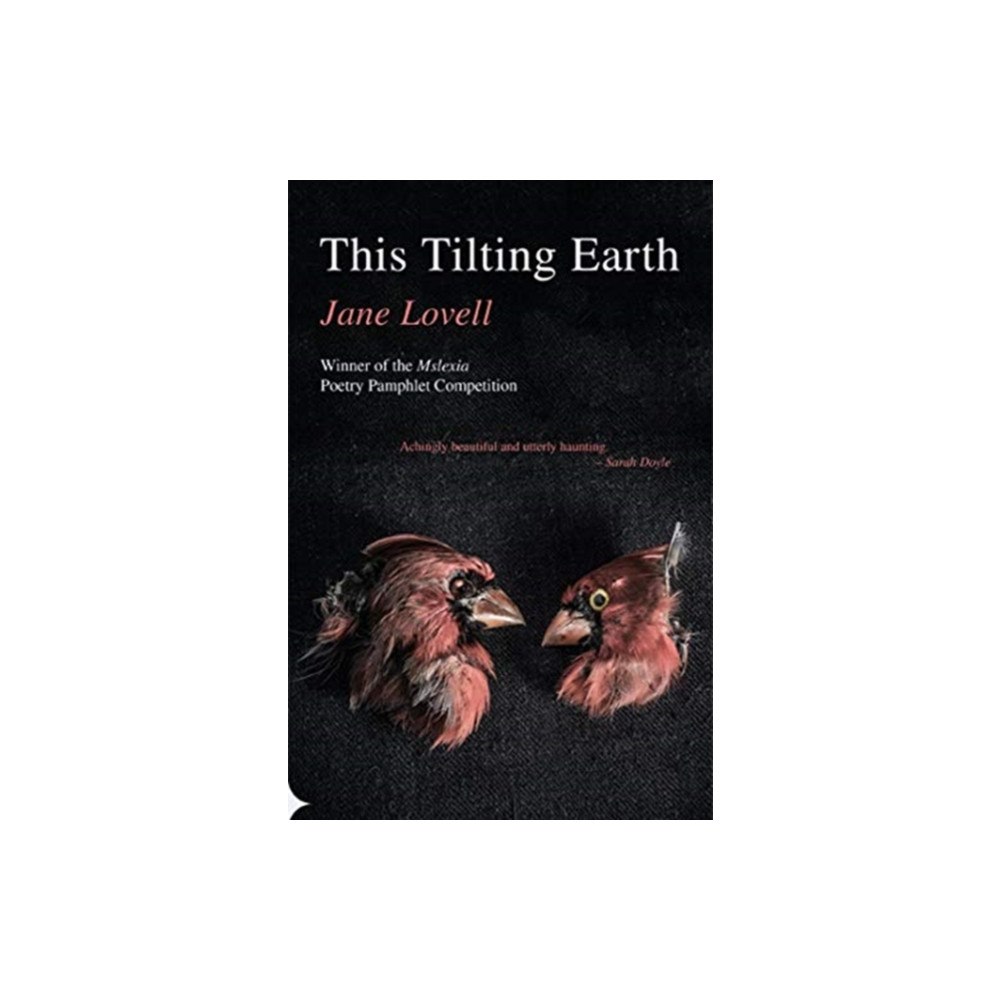 Poetry Wales Press This Tilting Earth (häftad, eng)