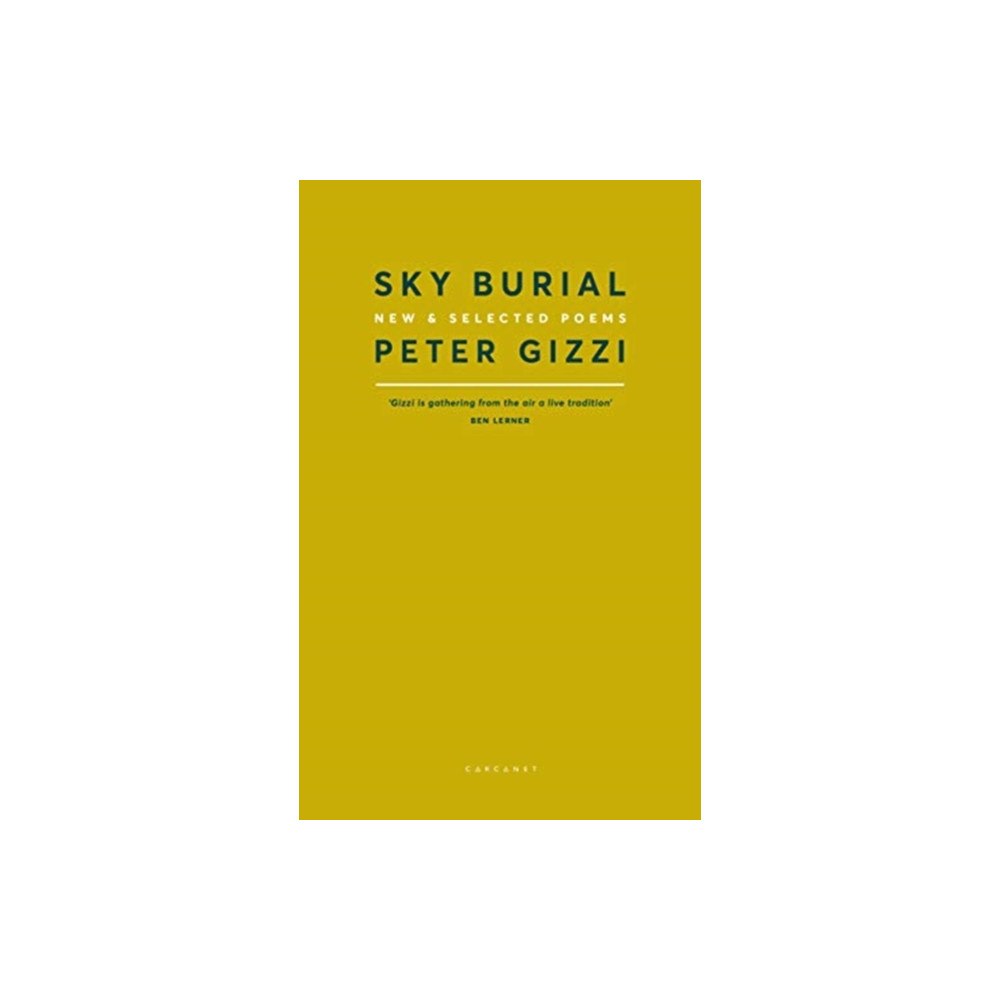 Carcanet Press Ltd Sky Burial (häftad, eng)