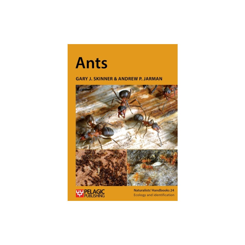Pelagic Publishing Ants (häftad, eng)