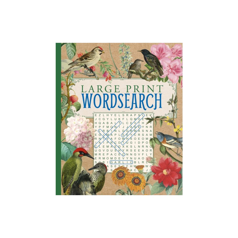 Arcturus publishing ltd Large Print Wordsearch (häftad, eng)