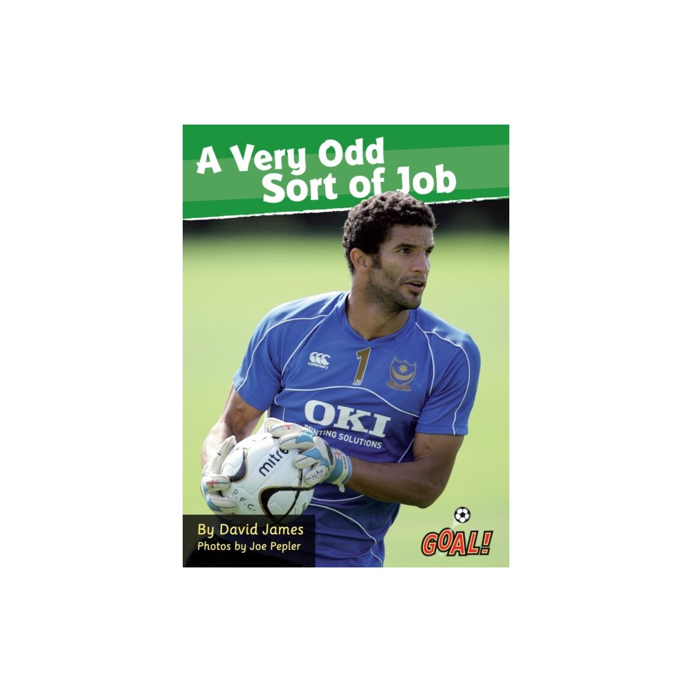 Ransom Publishing A Very Odd Sort of Job (häftad, eng)