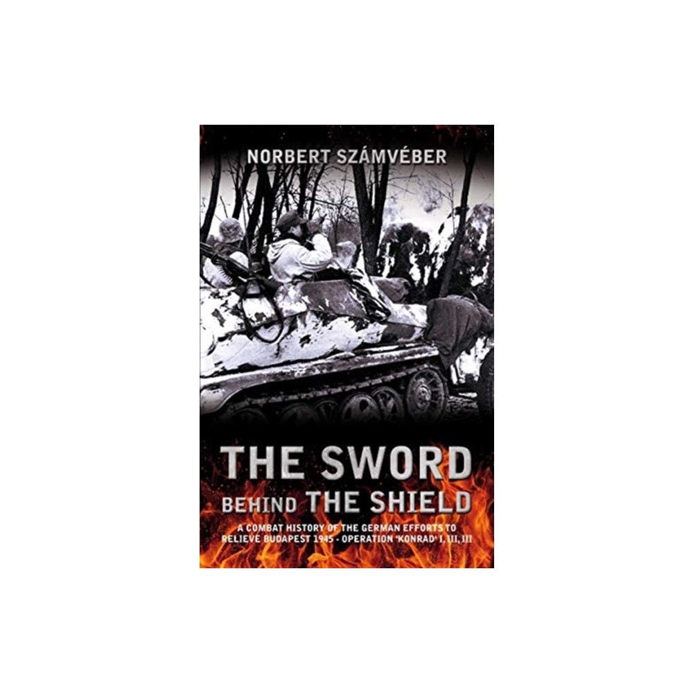 Helion & Company The Sword Behind The Shield (häftad, eng)