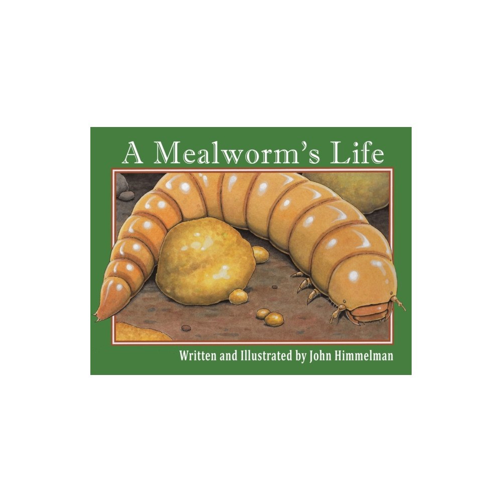 Mazo Publishers A Mealworm's Life (häftad, eng)