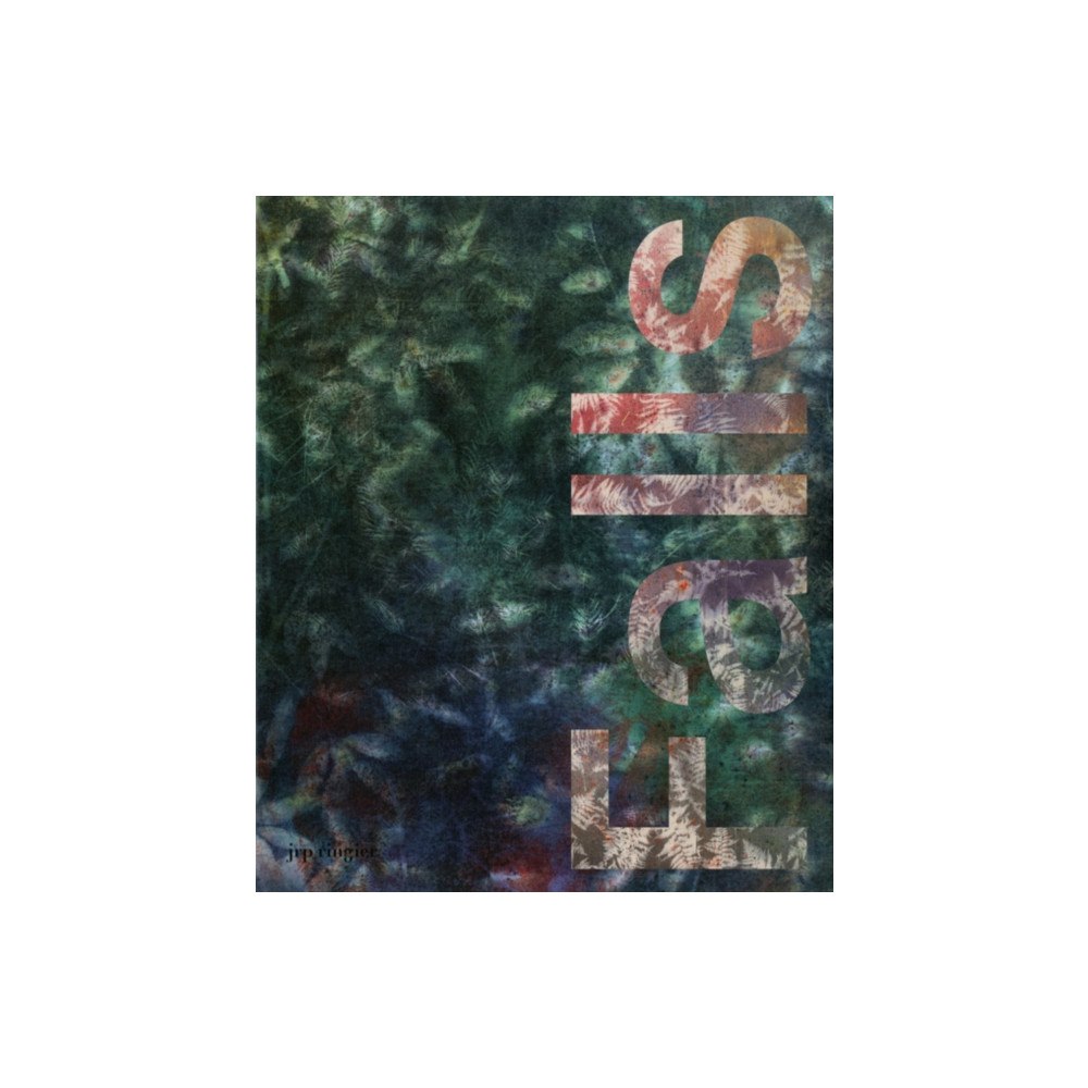 JRP Ringier Sam Falls (häftad, eng)