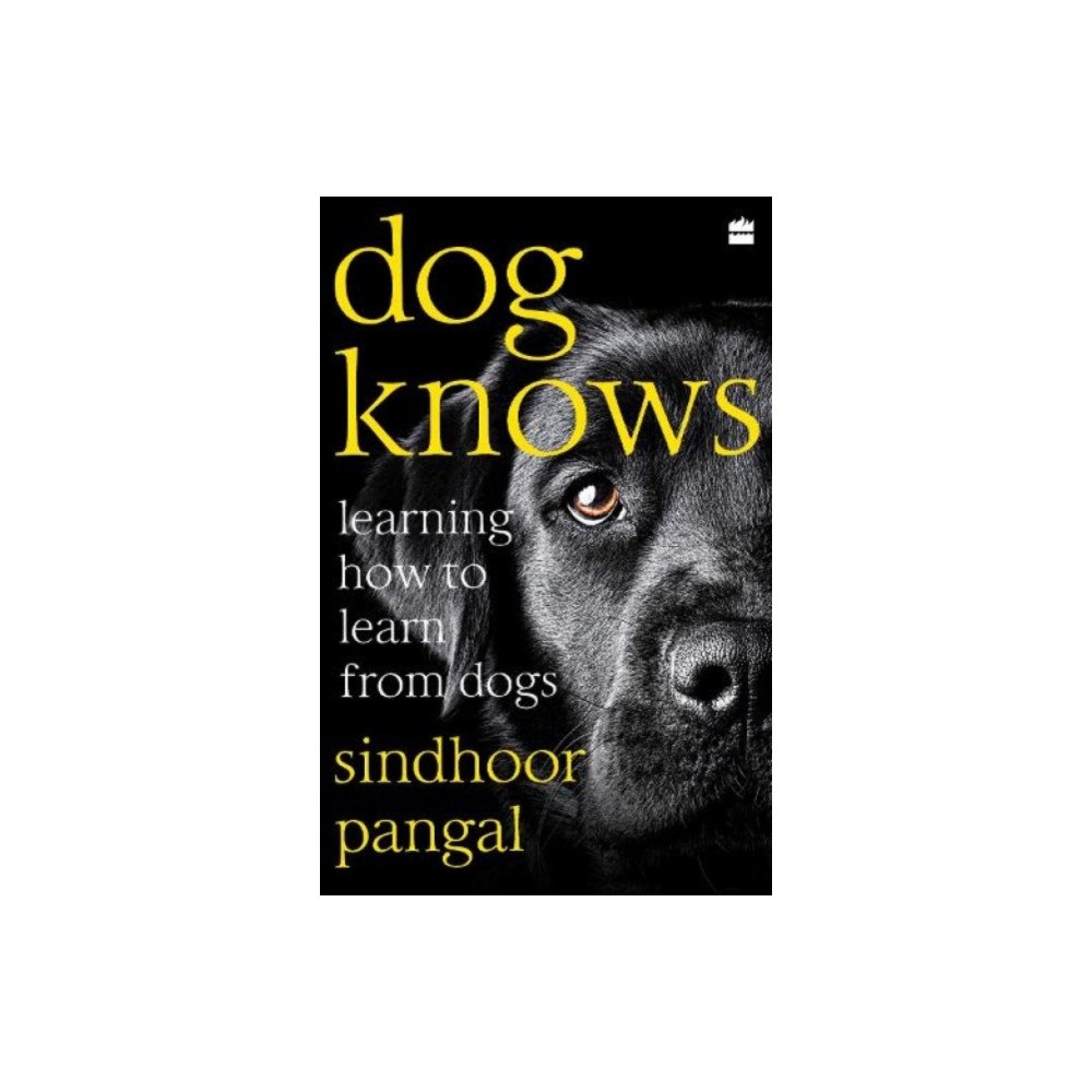 HarperCollins Publishers India Dog Knows (häftad, eng)