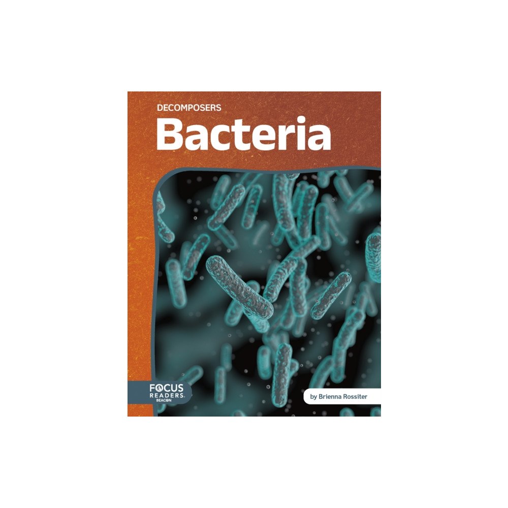 North Star Editions Bacteria (häftad, eng)