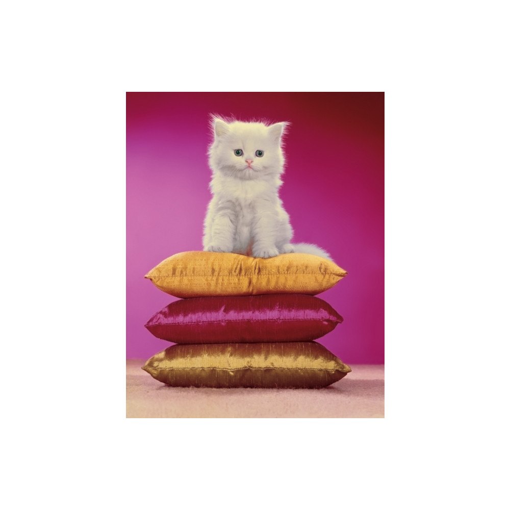 Damiani Chromotherapia (inbunden, eng)