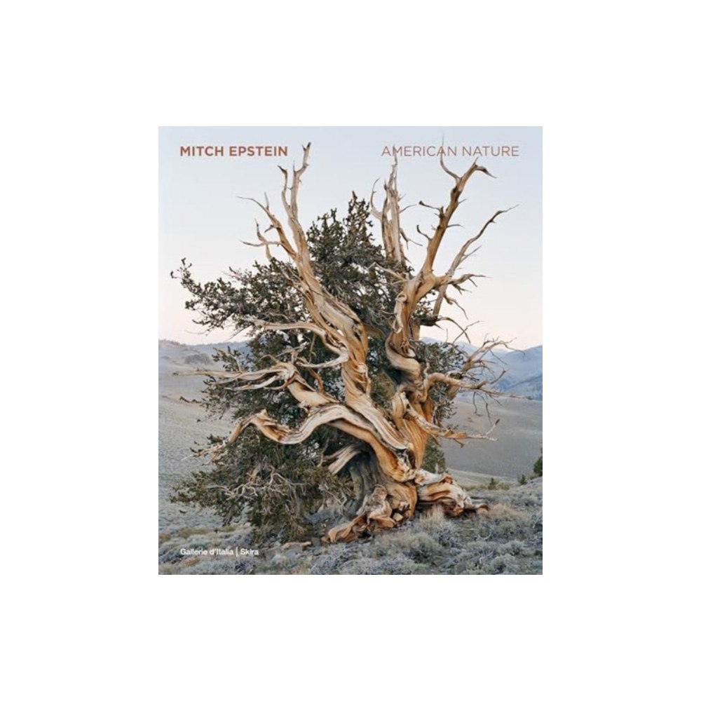 Skira Mitch Epstein (inbunden, eng)