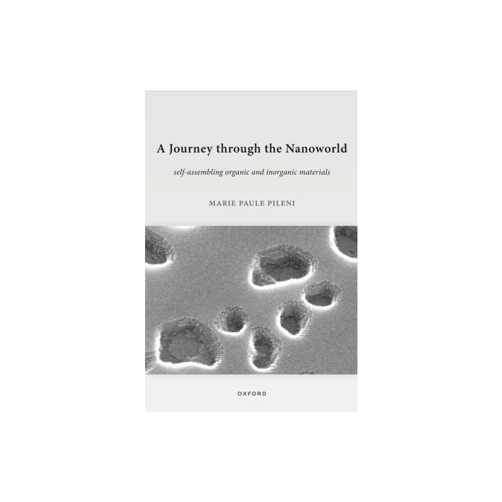 Oxford University Press A Journey through the Nanoworld (häftad, eng)