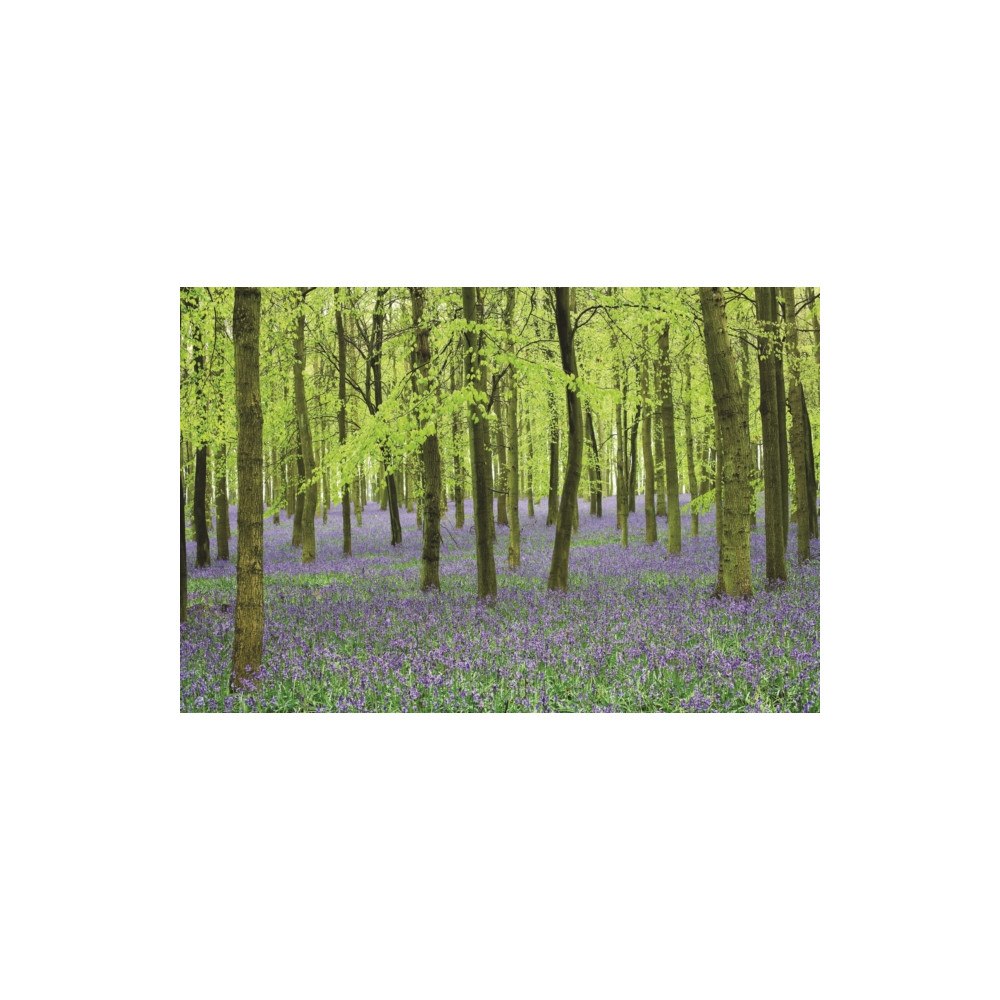 Anness publishing Memo Block - Bluebells (inbunden, eng)