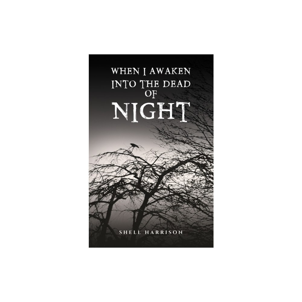 Austin Macauley Publishers When I Awaken Into The Dead of Night (häftad, eng)