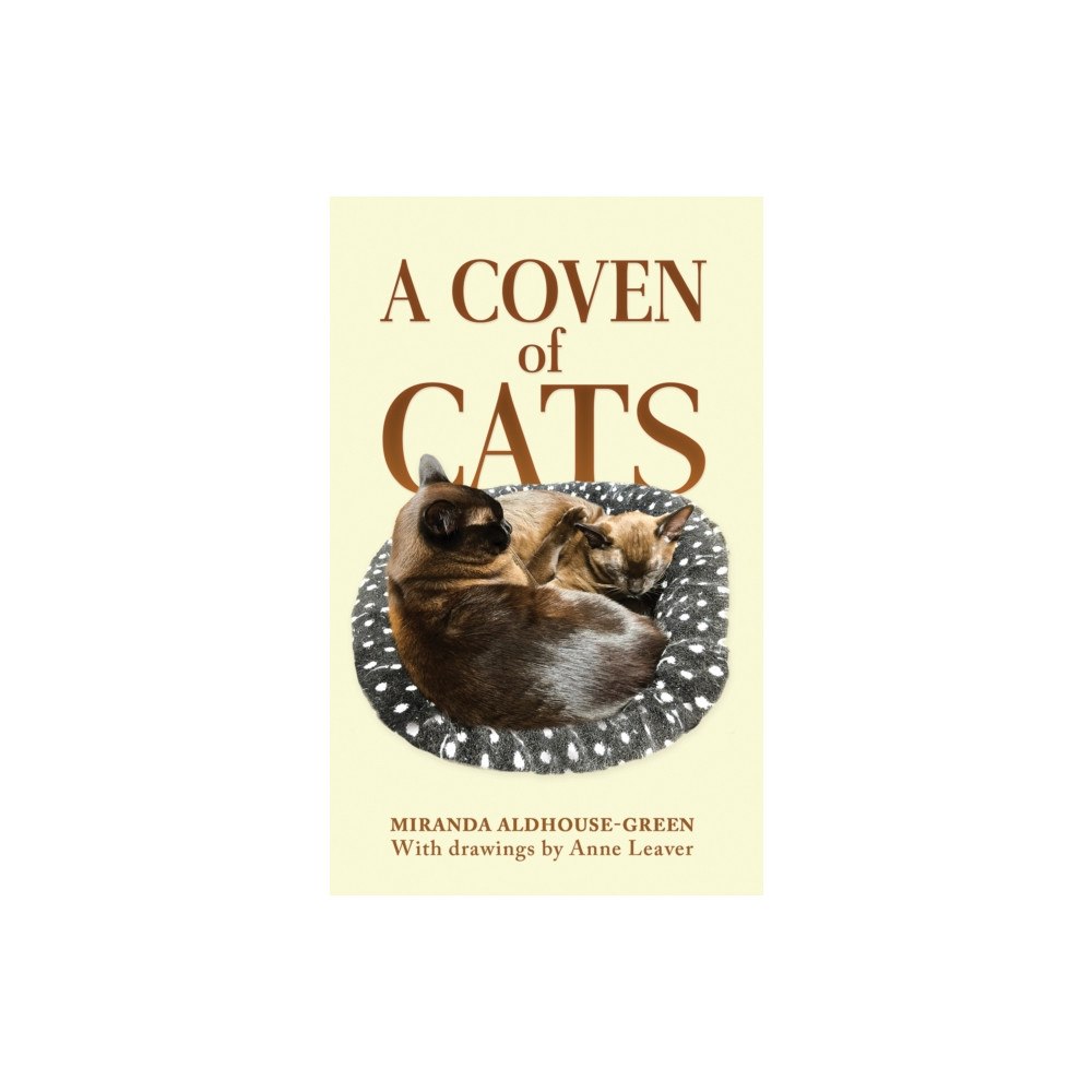 Austin Macauley Publishers A Coven of Cats (häftad, eng)