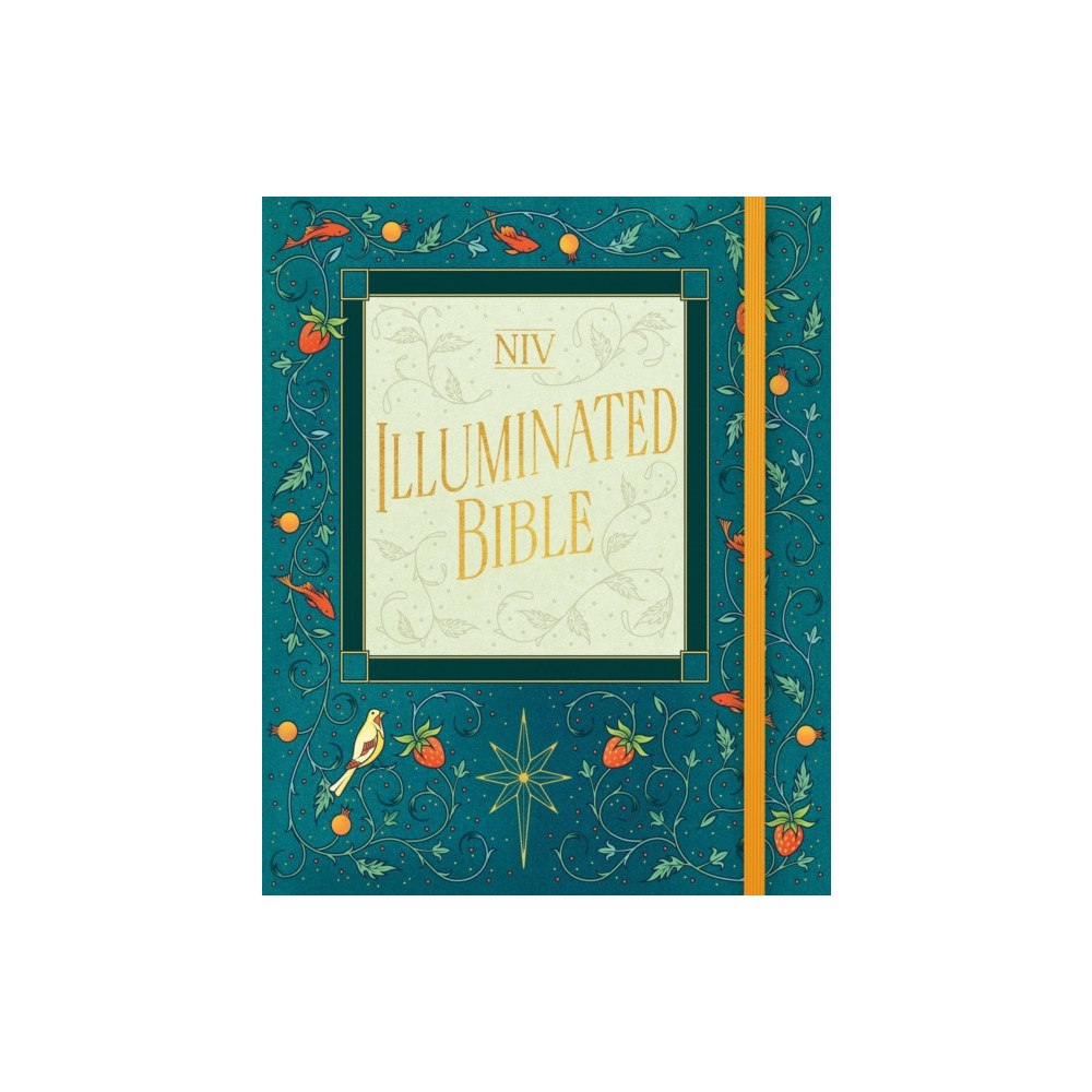 Hodder & Stoughton NIV Illuminated Bible (inbunden, eng)