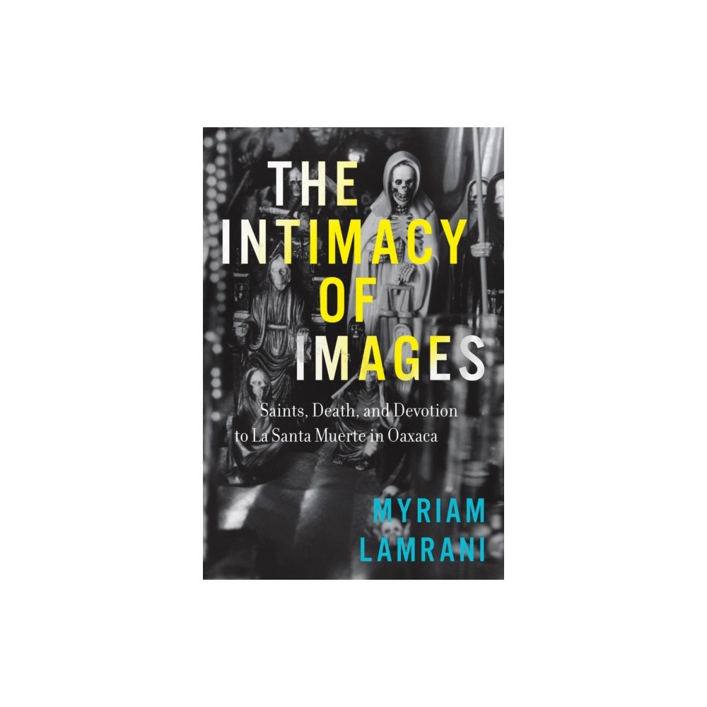 University of Texas Press The Intimacy of Images (häftad, eng)