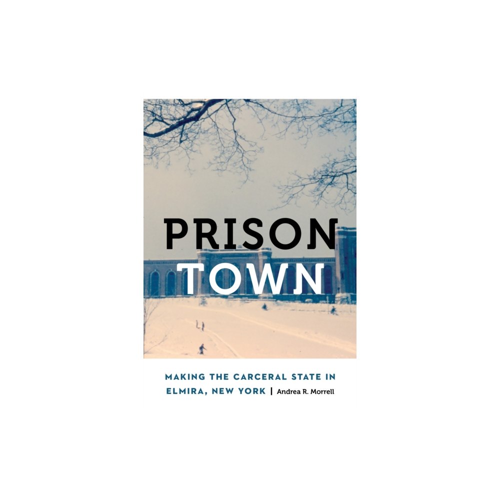 University of Nebraska Press Prison Town (häftad, eng)