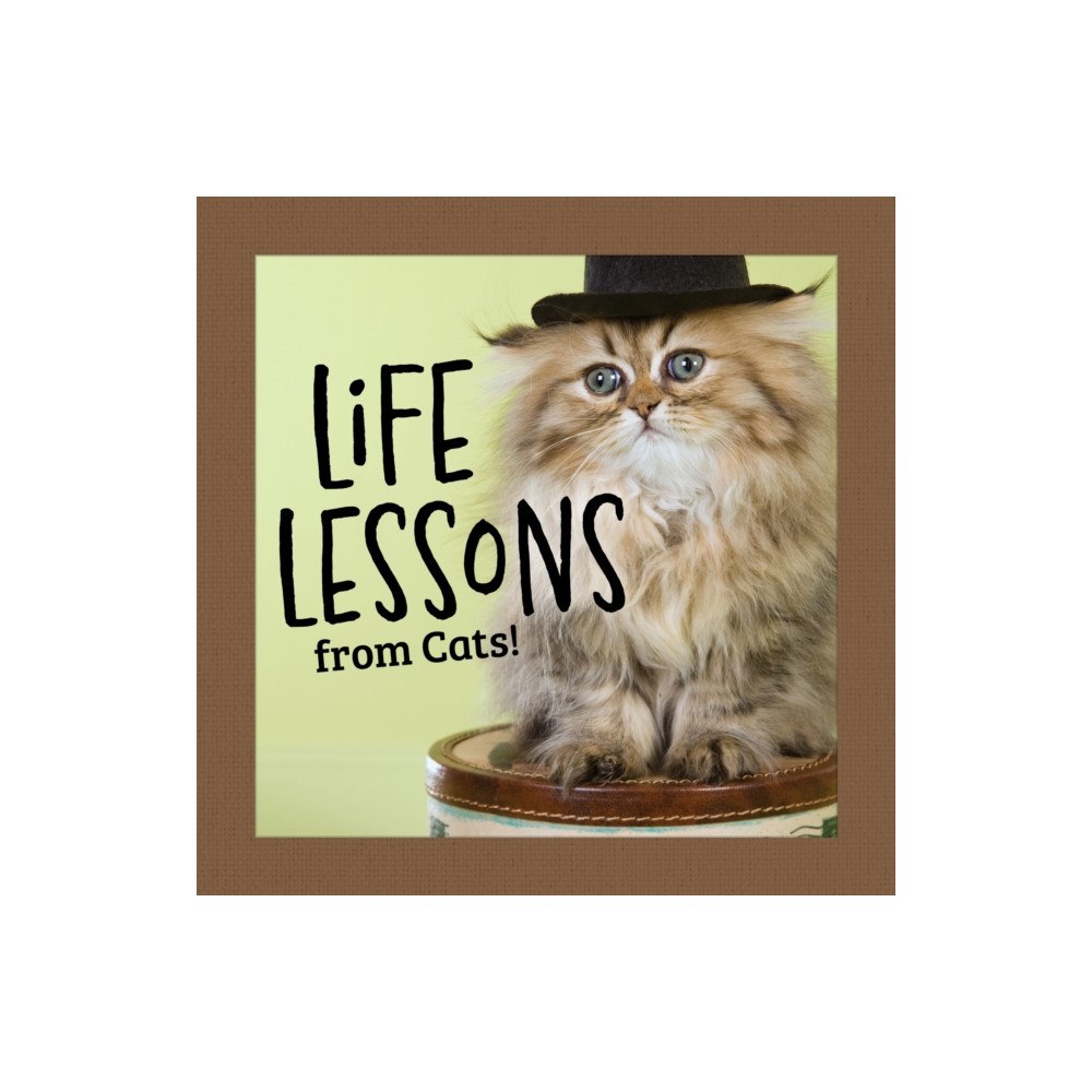 Fox Chapel Publishing Life Lessons from Cats (inbunden, eng)