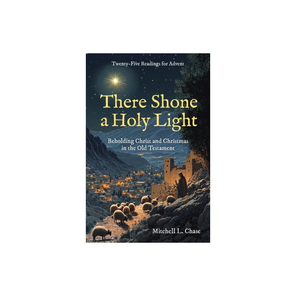 Christian Focus Publications Ltd There Shone a Holy Light (inbunden, eng)