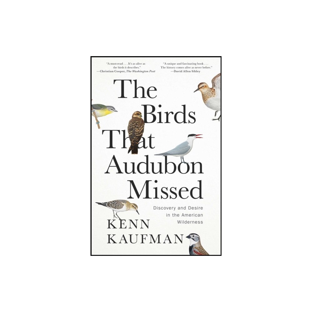 Simon & Schuster The Birds That Audubon Missed (häftad, eng)