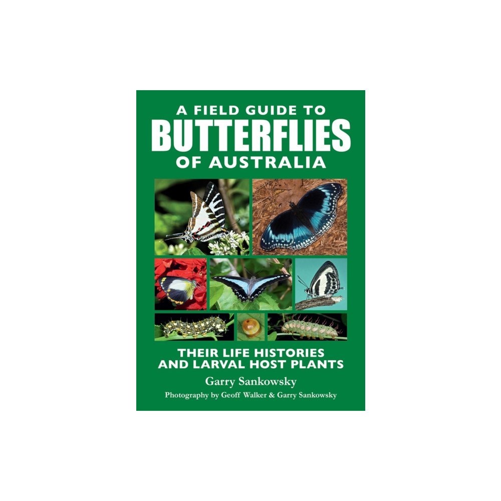 New Holland Publishers A Field Guide to Butterflies of Australia (häftad, eng)