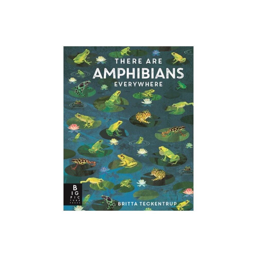 Templar Books There Are Amphibians Everywhere (inbunden, eng)