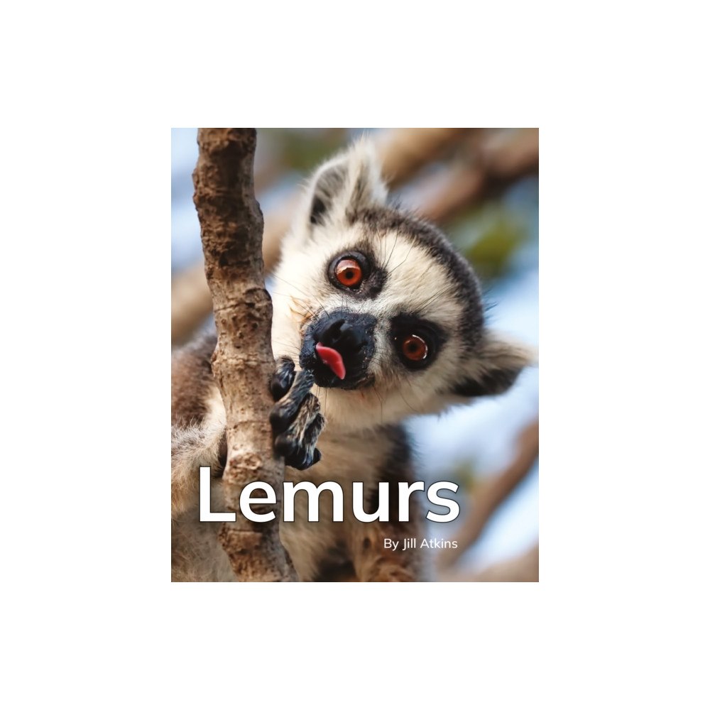Ransom Publishing Lemurs (häftad, eng)