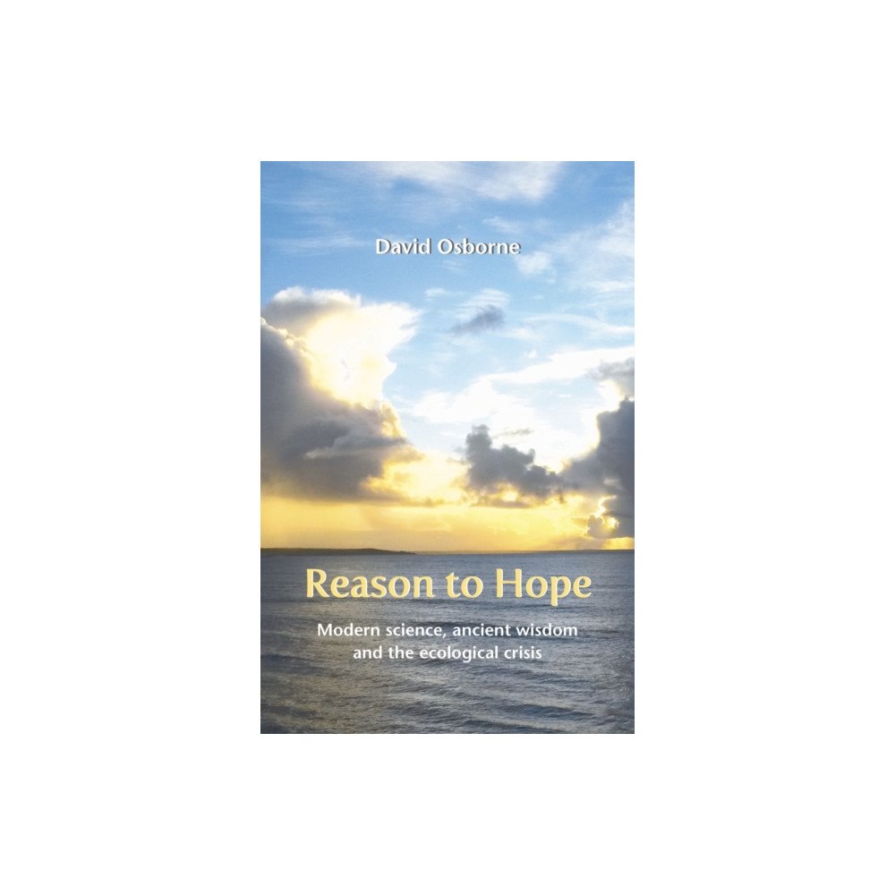 Wild Goose Publications Reason to Hope (häftad, eng)
