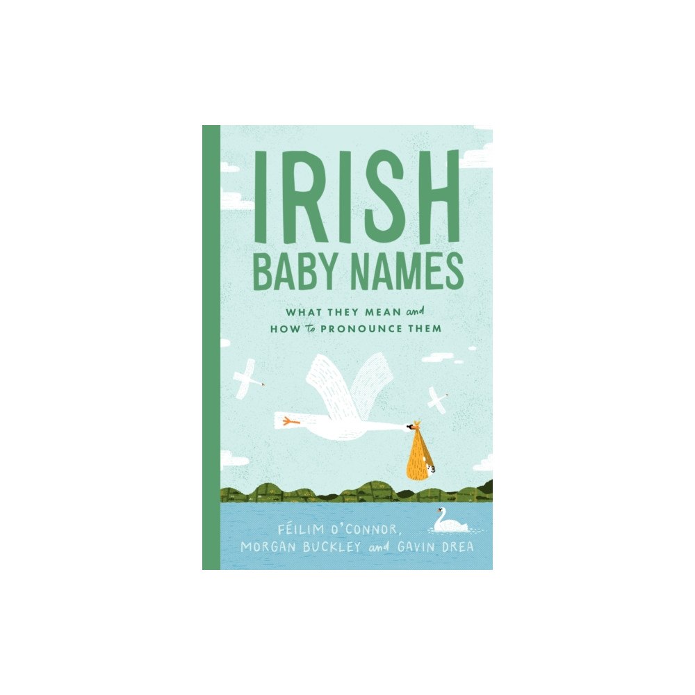Gill Irish Baby Names (inbunden, eng)