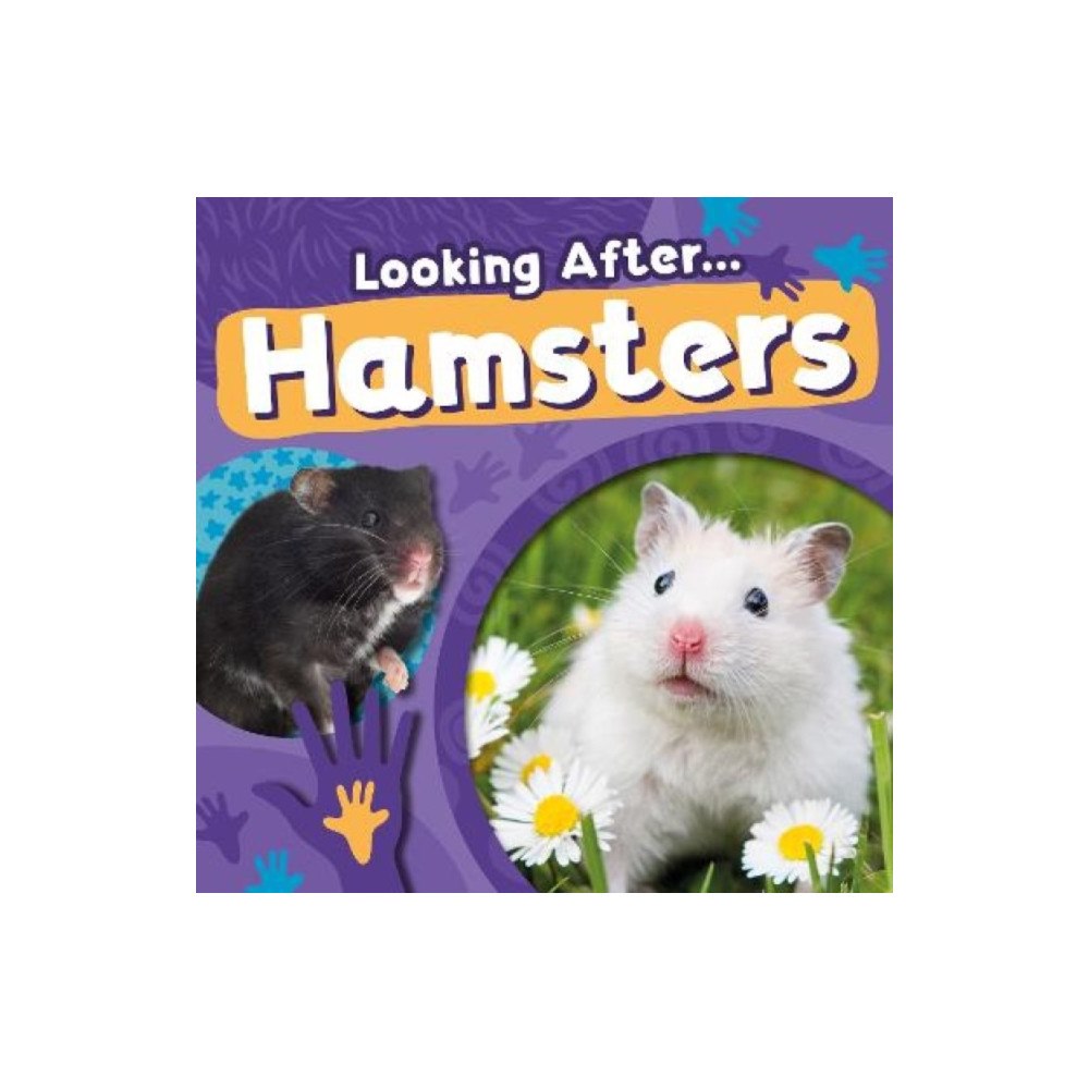 BookLife Publishing Hamsters (häftad, eng)