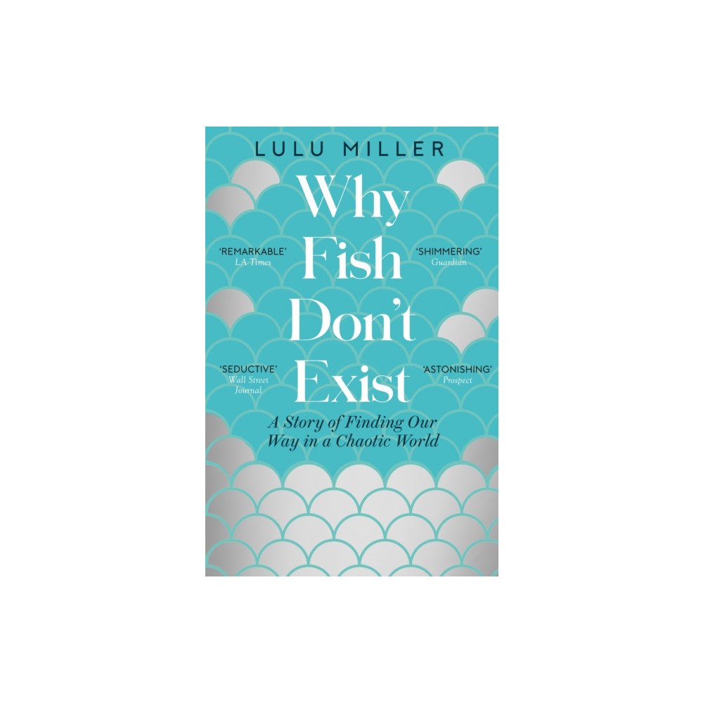 Pushkin Press Why Fish Don't Exist (häftad, eng)