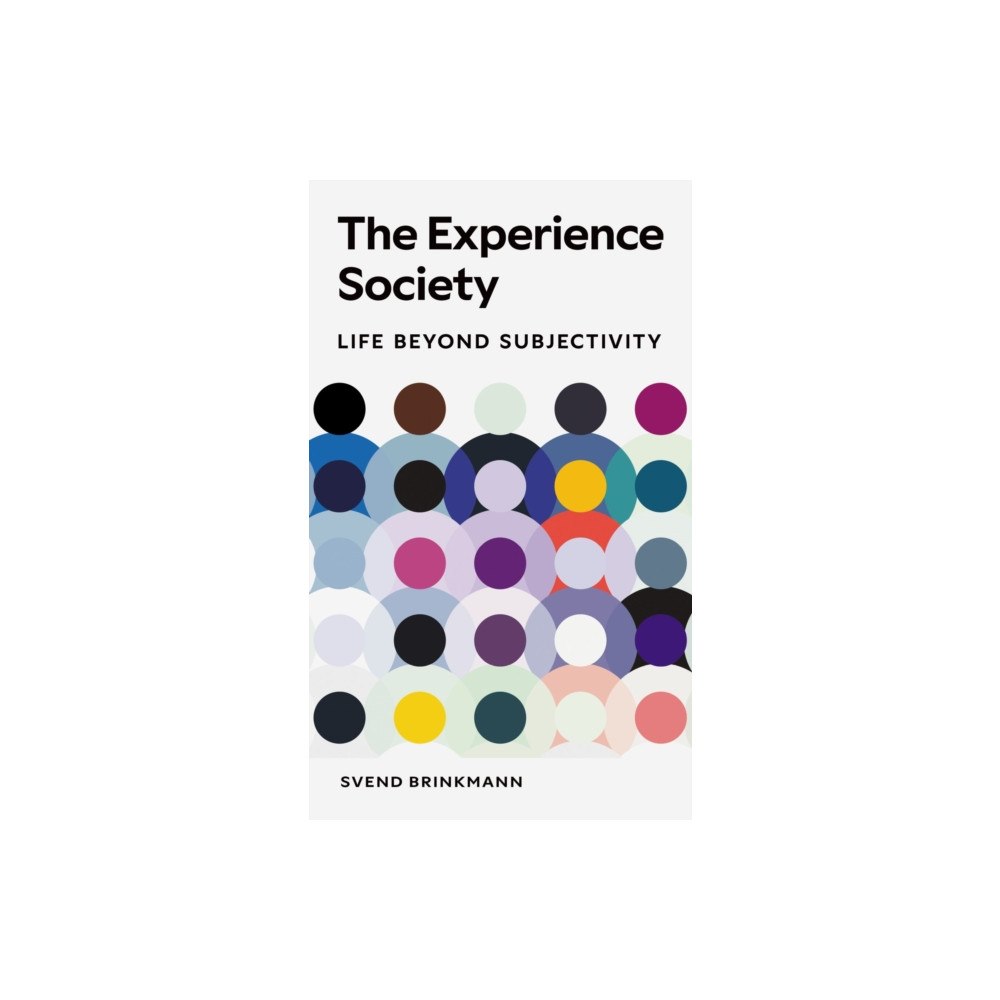 Reaktion Books The Experience Society (häftad, eng)