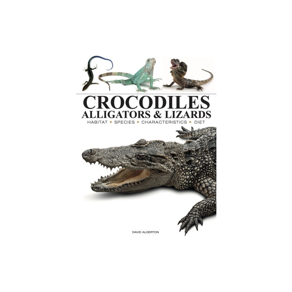 Amber Books Ltd Crocodiles, Alligators & Lizards (häftad, eng)