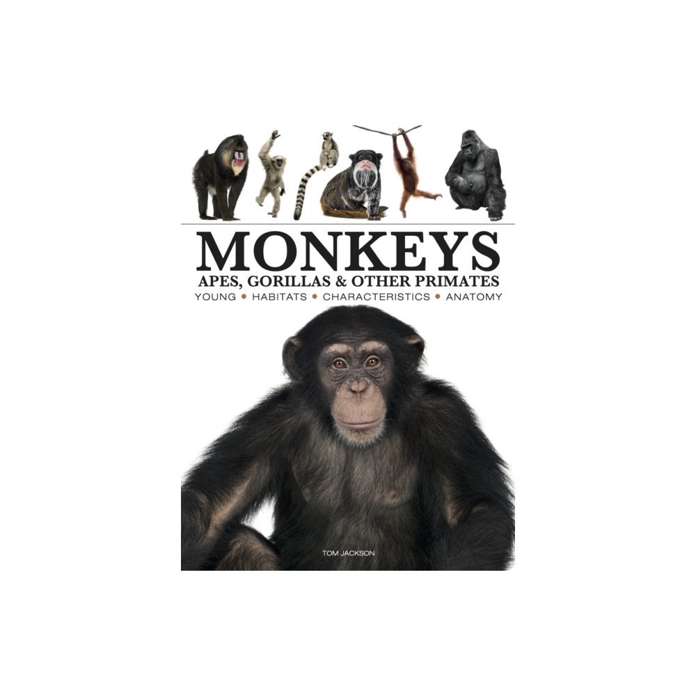 Amber Books Ltd Monkeys (häftad, eng)