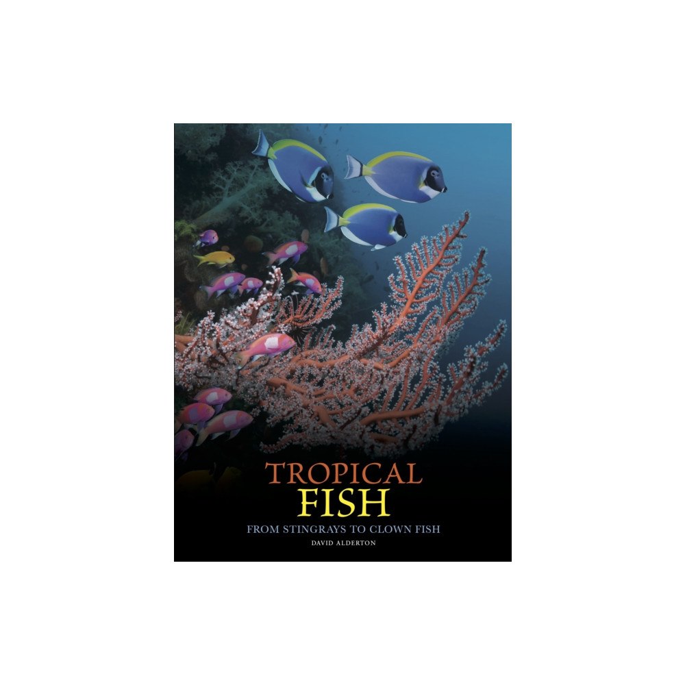 Amber Books Ltd Tropical Fish (inbunden, eng)