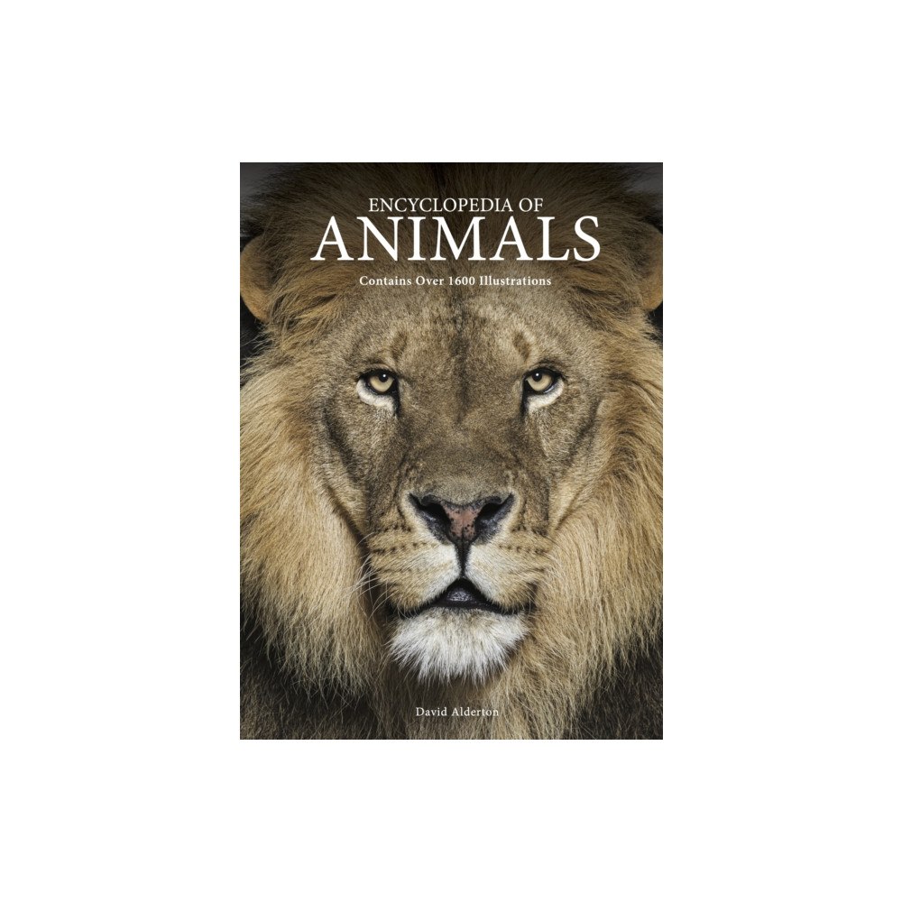 Amber Books Ltd Encyclopedia of Animals (inbunden, eng)